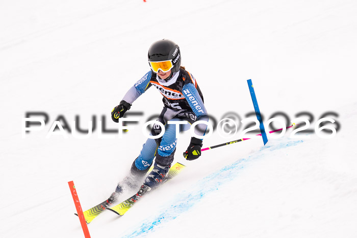 Ziener Cup 3 SL kühtai, 25.01.2026