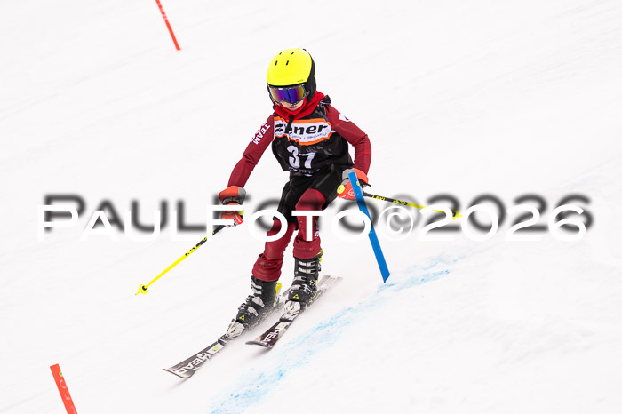 Ziener Cup 3 SL kühtai, 25.01.2026