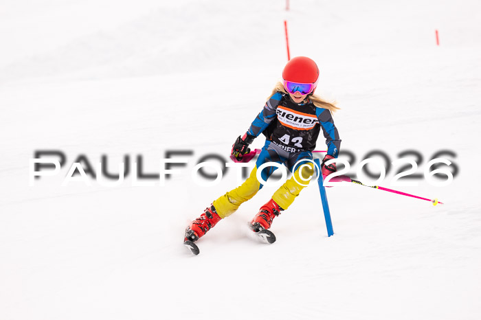 Ziener Cup 3 SL kühtai, 25.01.2026