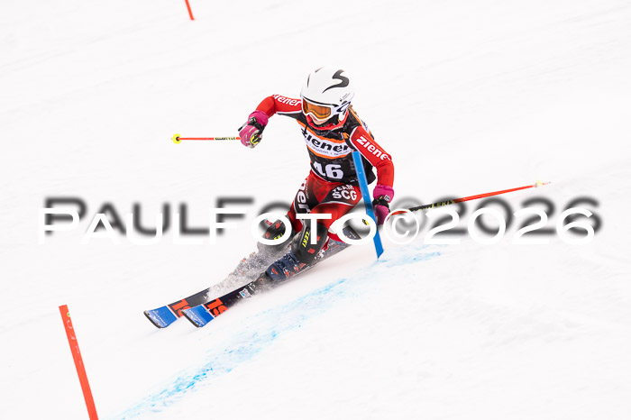 Ziener Cup 3 SL kühtai, 25.01.2026