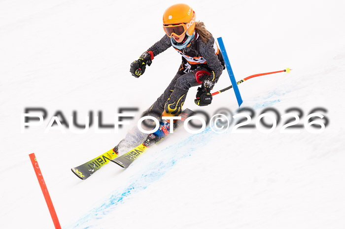 Ziener Cup 3 SL kühtai, 25.01.2026