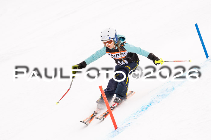 Ziener Cup 3 SL kühtai, 25.01.2026