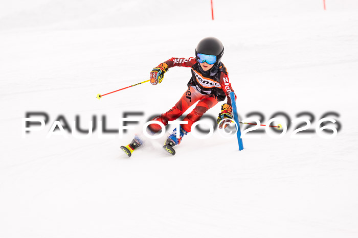 Ziener Cup 3 SL kühtai, 25.01.2026