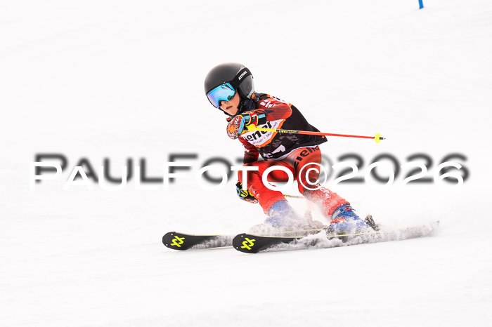 Ziener Cup 3 SL kühtai, 25.01.2026