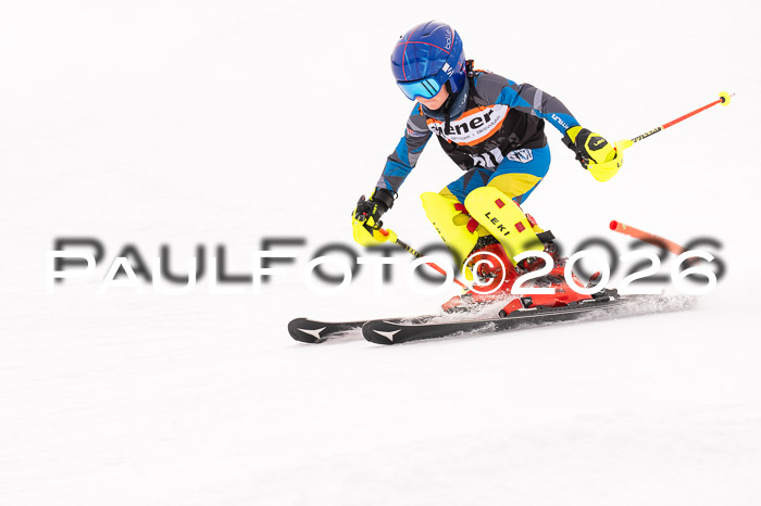 Ziener Cup 3 SL kühtai, 25.01.2026