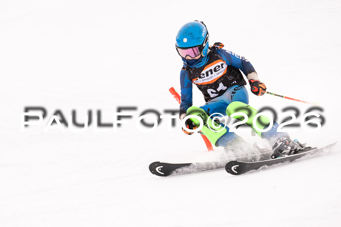 Ziener Cup 3 SL kühtai, 25.01.2026