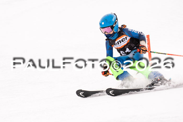 Ziener Cup 3 SL kühtai, 25.01.2026