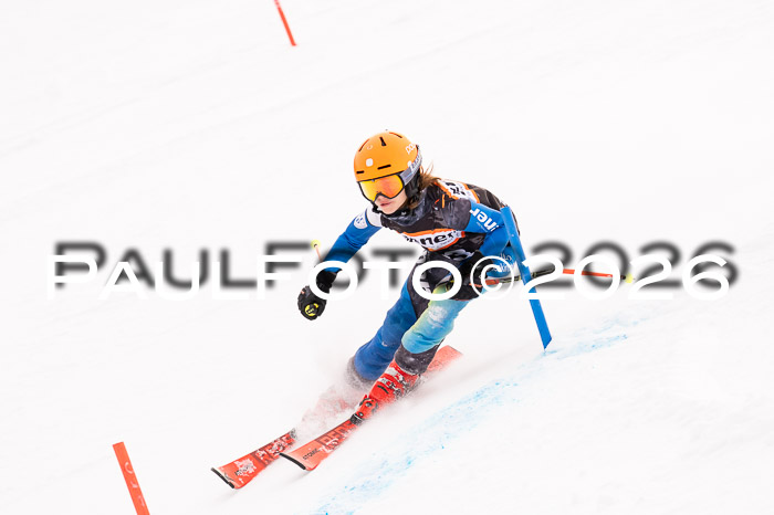 Ziener Cup 3 SL kühtai, 25.01.2026