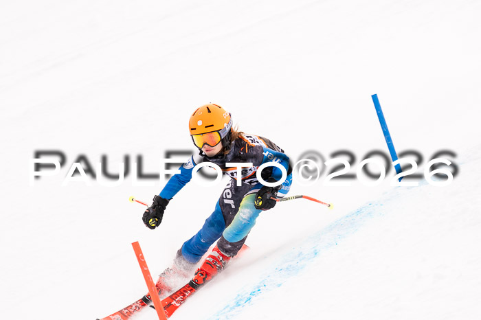 Ziener Cup 3 SL kühtai, 25.01.2026