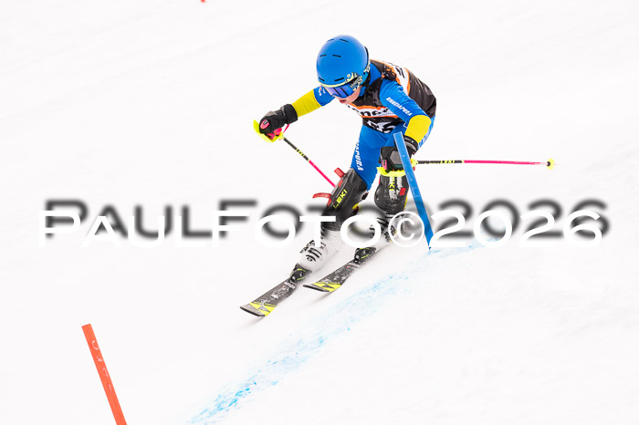 Ziener Cup 3 SL kühtai, 25.01.2026