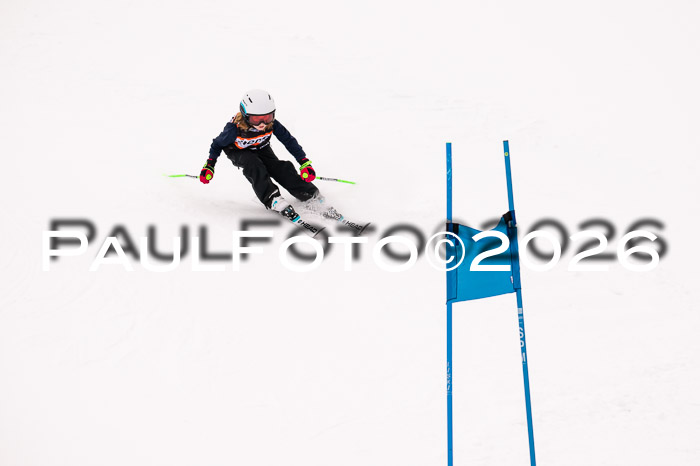 Ziener Cup 3 SL kühtai, 25.01.2026