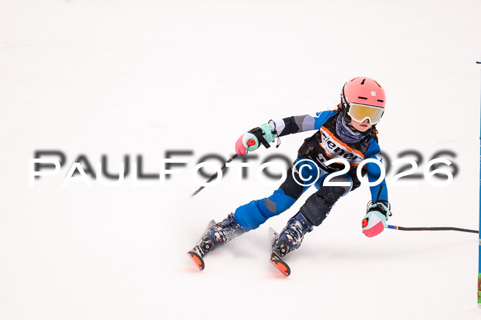 Ziener Cup 3 SL kühtai, 25.01.2026