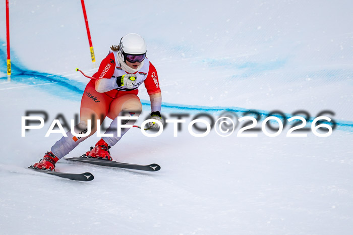 FIS DH Damen + Herren, Kandahar 30.01.2026