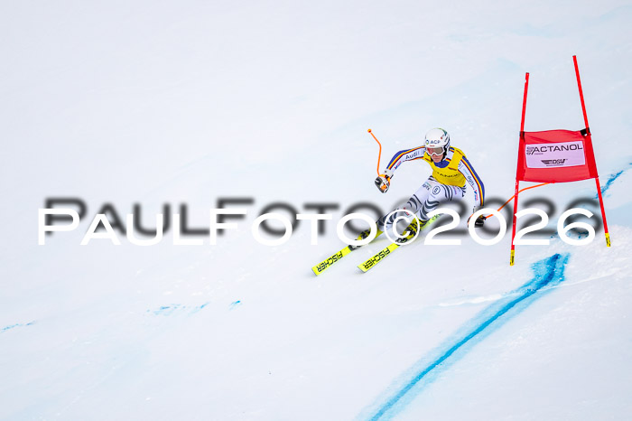 FIS DH Damen + Herren, Kandahar 30.01.2026