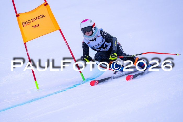 DSV Actanol Schülercup Alpin U14 RS+, 31.01.2026
