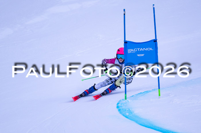 DSV Actanol Schülercup Alpin U14 RS+, 31.01.2026