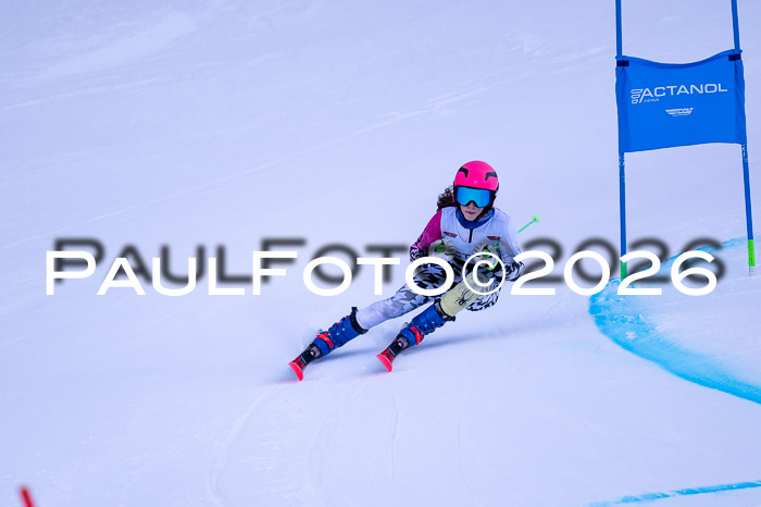 DSV Actanol Schülercup Alpin U14 RS+, 31.01.2026