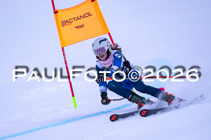 DSV Actanol Schülercup Alpin U14 RS+, 31.01.2026