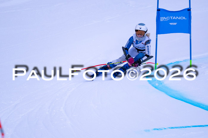 DSV Actanol Schülercup Alpin U14 RS+, 31.01.2026