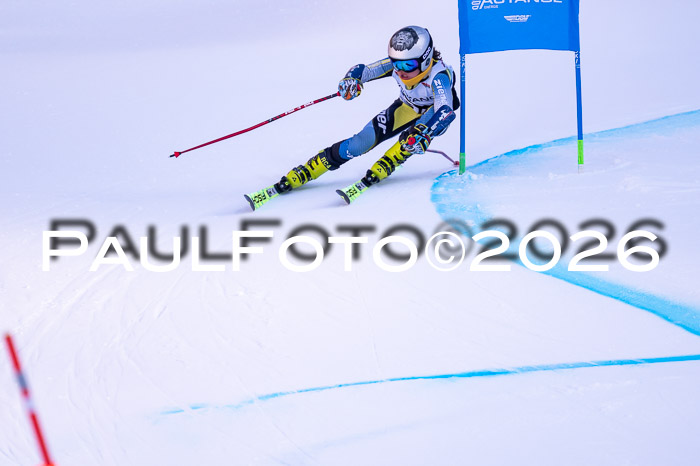 DSV Actanol Schülercup Alpin U14 RS+, 31.01.2026