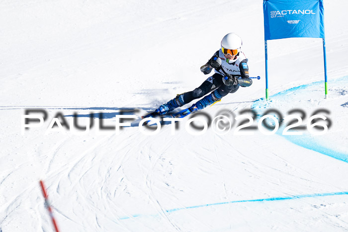 DSV Actanol Schülercup Alpin U14 RS+, 31.01.2026