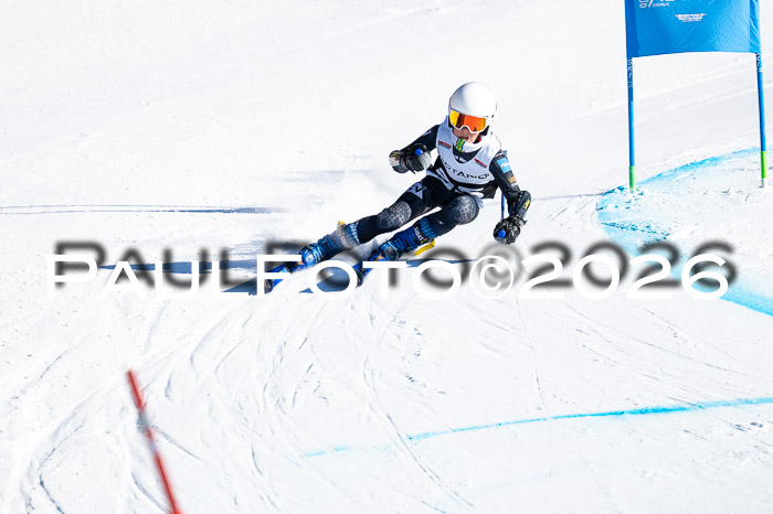 DSV Actanol Schülercup Alpin U14 RS+, 31.01.2026