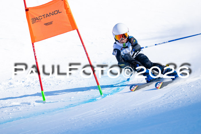 DSV Actanol Schülercup Alpin U14 RS+, 31.01.2026