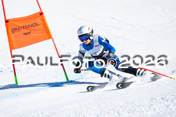 DSV Actanol Schülercup Alpin U14 RS+, 31.01.2026