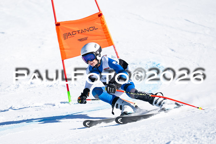 DSV Actanol Schülercup Alpin U14 RS+, 31.01.2026