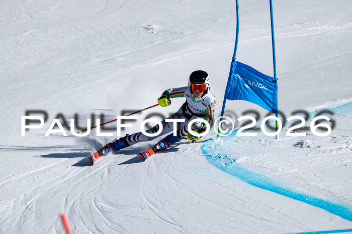 DSV Actanol Schülercup Alpin U14 RS+, 31.01.2026