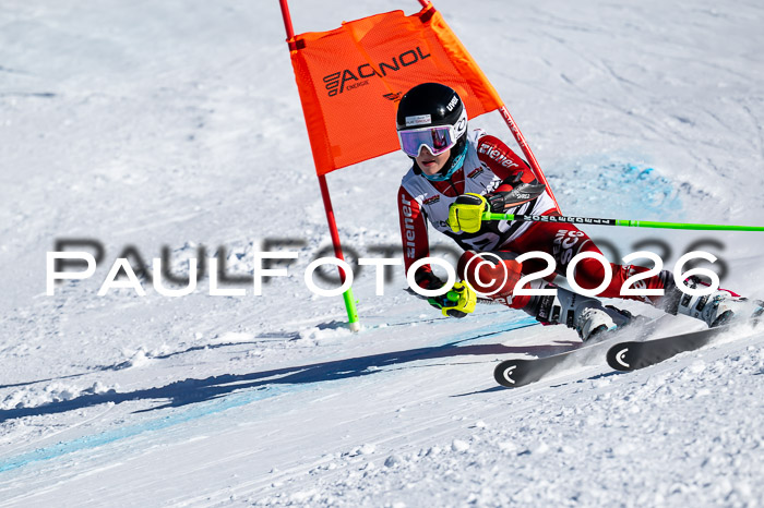 DSV Actanol Schülercup Alpin U14 RS+, 31.01.2026