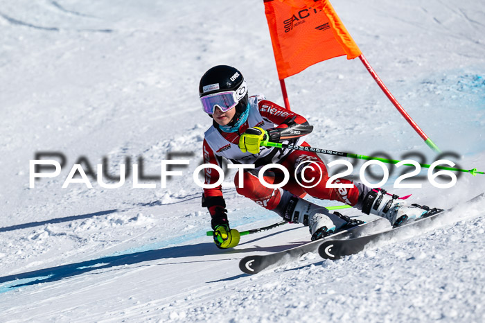 DSV Actanol Schülercup Alpin U14 RS+, 31.01.2026