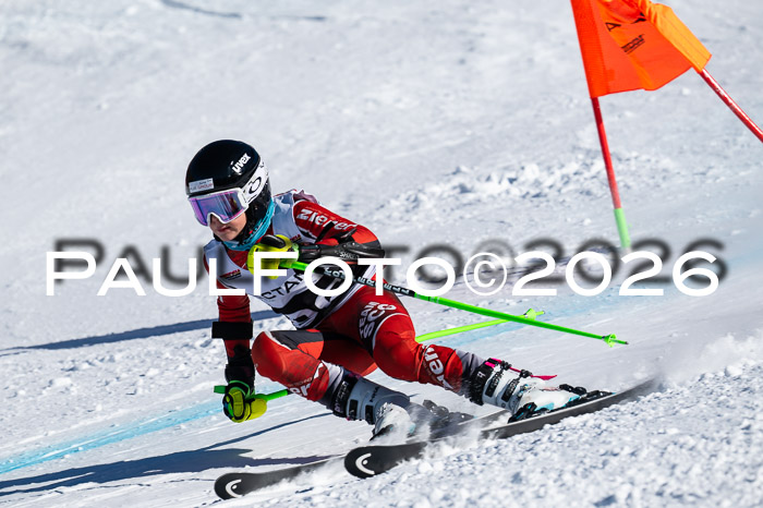 DSV Actanol Schülercup Alpin U14 RS+, 31.01.2026