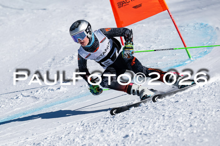 DSV Actanol Schülercup Alpin U14 RS+, 31.01.2026