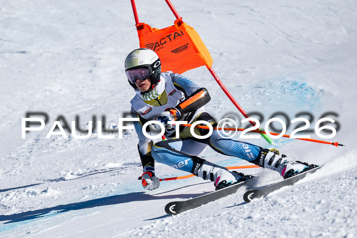 DSV Actanol Schülercup Alpin U14 RS+, 31.01.2026