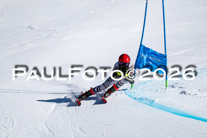 DSV Actanol Schülercup Alpin U14 RS+, 31.01.2026