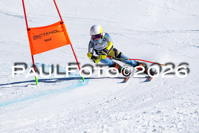 DSV Actanol Schülercup Alpin U14 RS+, 31.01.2026