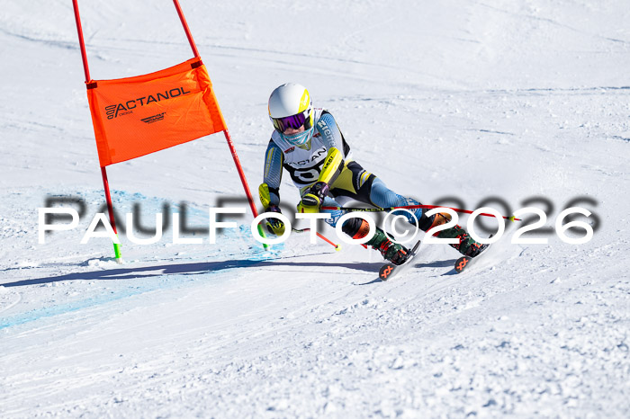DSV Actanol Schülercup Alpin U14 RS+, 31.01.2026