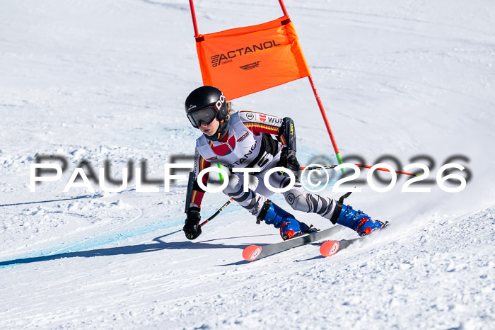 DSV Actanol Schülercup Alpin U14 RS+, 31.01.2026