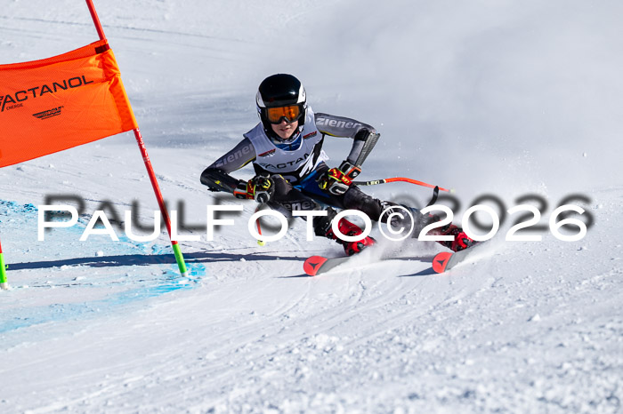 DSV Actanol Schülercup Alpin U14 RS+, 31.01.2026