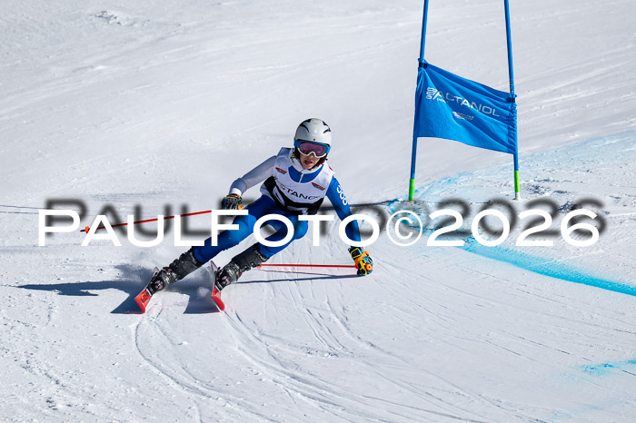DSV Actanol Schülercup Alpin U14 RS+, 31.01.2026