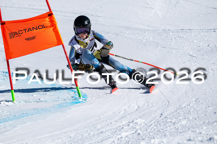 DSV Actanol Schülercup Alpin U14 RS+, 31.01.2026