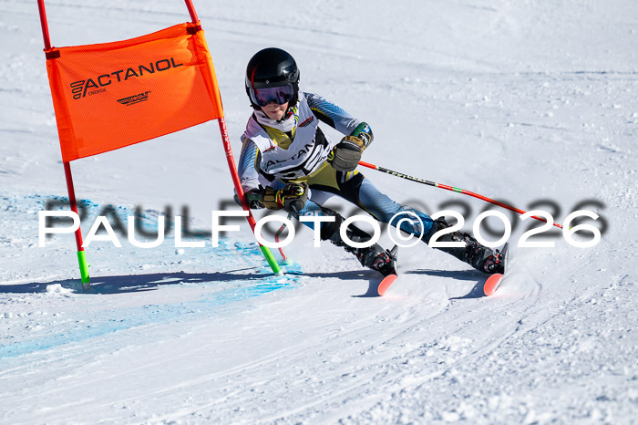 DSV Actanol Schülercup Alpin U14 RS+, 31.01.2026