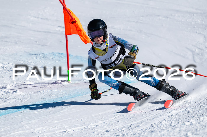 DSV Actanol Schülercup Alpin U14 RS+, 31.01.2026