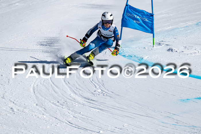 DSV Actanol Schülercup Alpin U14 RS+, 31.01.2026
