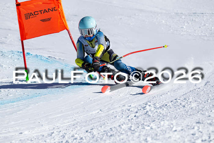 DSV Actanol Schülercup Alpin U14 RS+, 31.01.2026