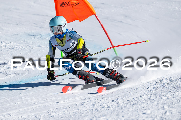 DSV Actanol Schülercup Alpin U14 RS+, 31.01.2026