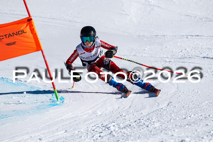 DSV Actanol Schülercup Alpin U14 RS+, 31.01.2026