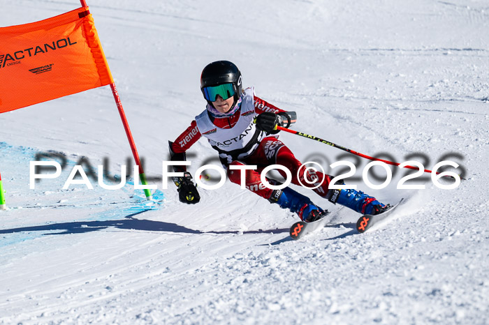 DSV Actanol Schülercup Alpin U14 RS+, 31.01.2026