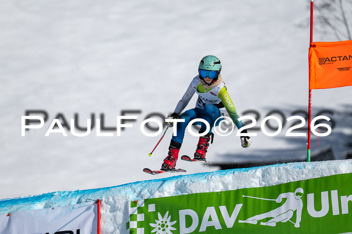 DSV Actanol Schülercup Alpin U14 RS+, 31.01.2026